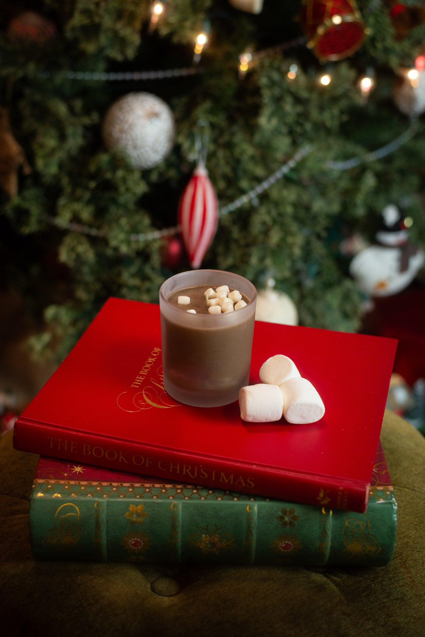 Baby It's Cold Outside